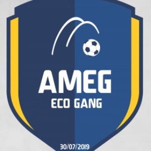 Escudo da equipe AMEG