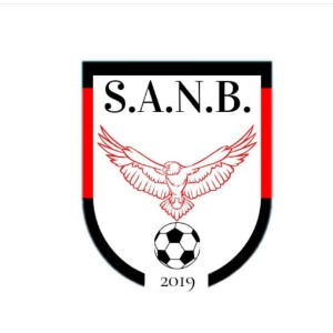 Escudo da equipe SANB F7
