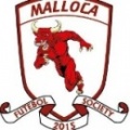 Escudo da equipe MALLOCA FS