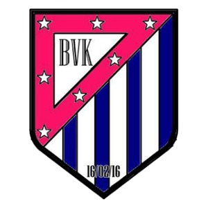 Escudo da equipe BELVOKA FA