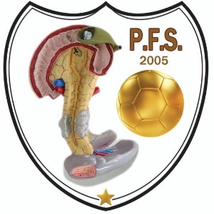 Escudo da equipe PANCREAS FS