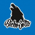 Escudo da equipe BICHO SOLTO FS